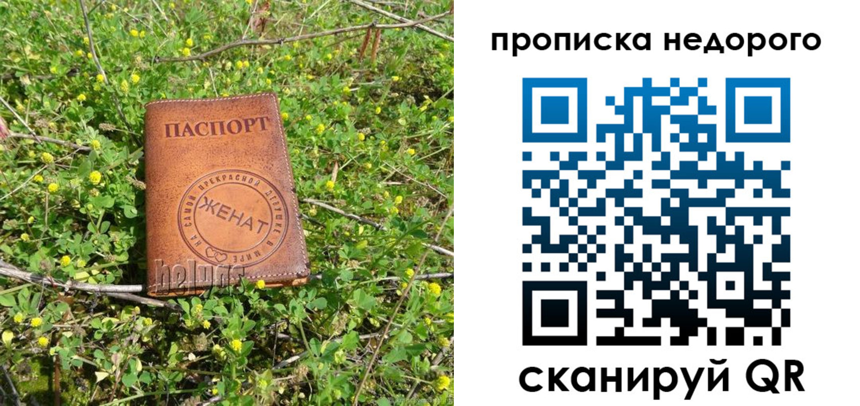 регистрация для дет. сада в Бронницах